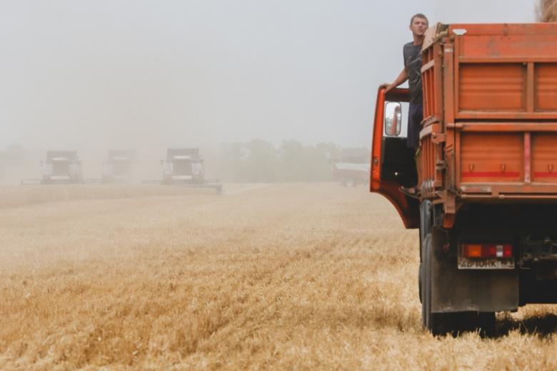 Россия ввела «гибридный железный занавес» на экспорт продовольствия 